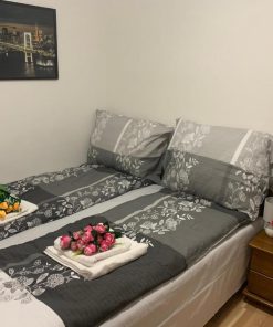 Alternative view of Apartmán Standard